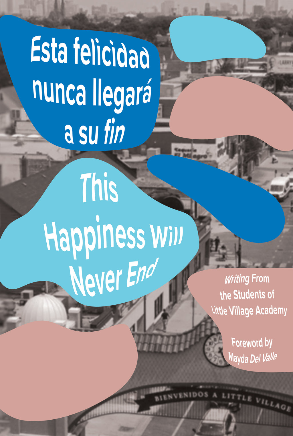 This Happiness Will Never End //  Esta felicidad nunca llegará a su fin